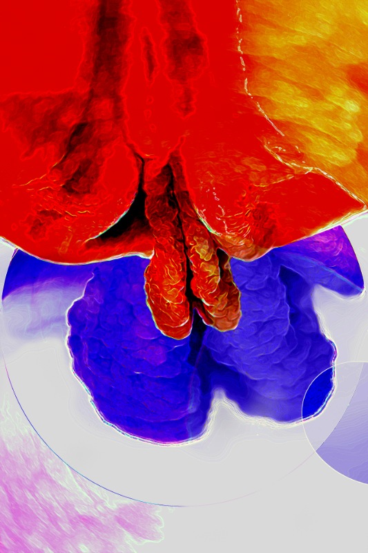 Stacks Image 1076