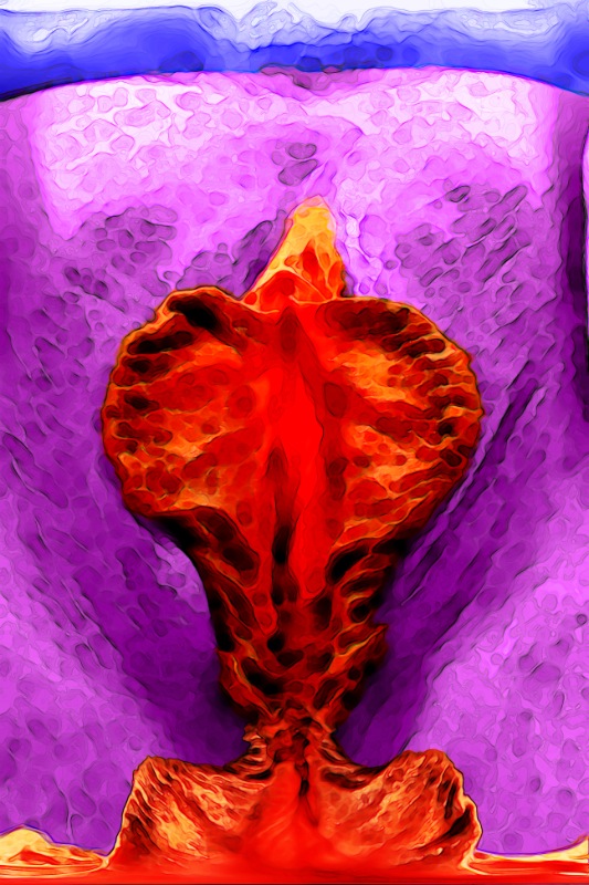 Stacks Image 215