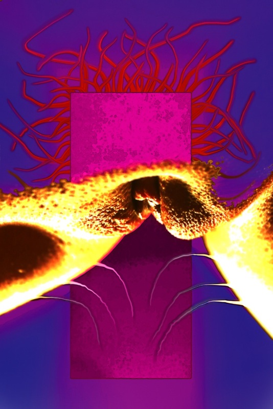 Loading Image