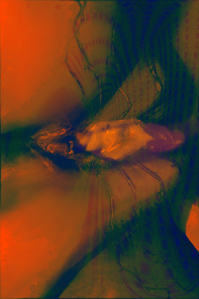 Stacks Image 227