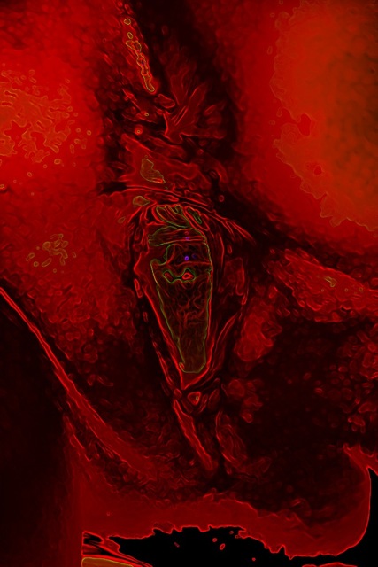 Loading Image