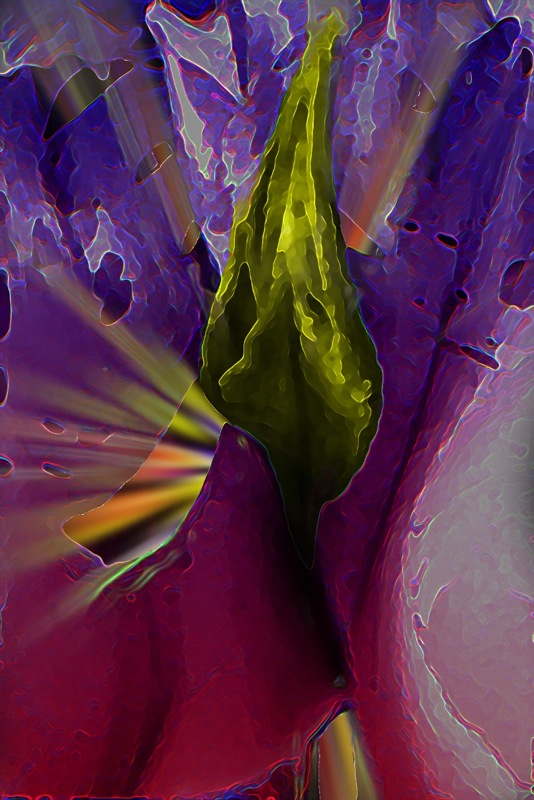 Loading Image