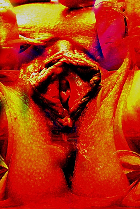 Loading Image
