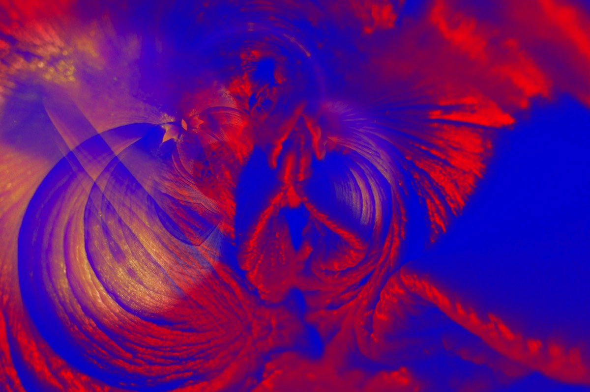 Stacks Image 874