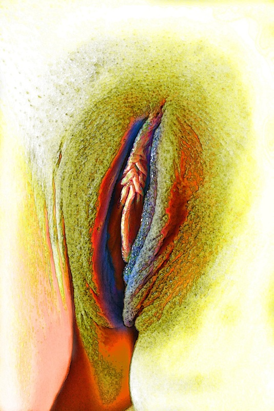 Loading Image