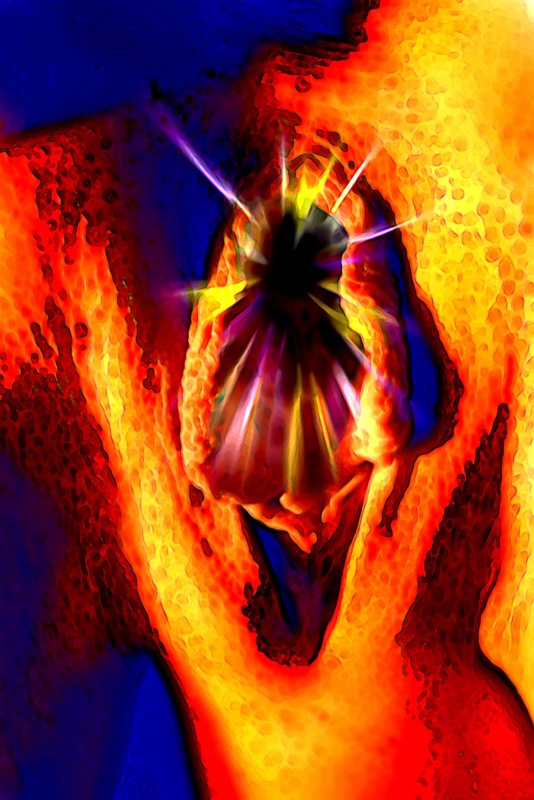 Loading Image