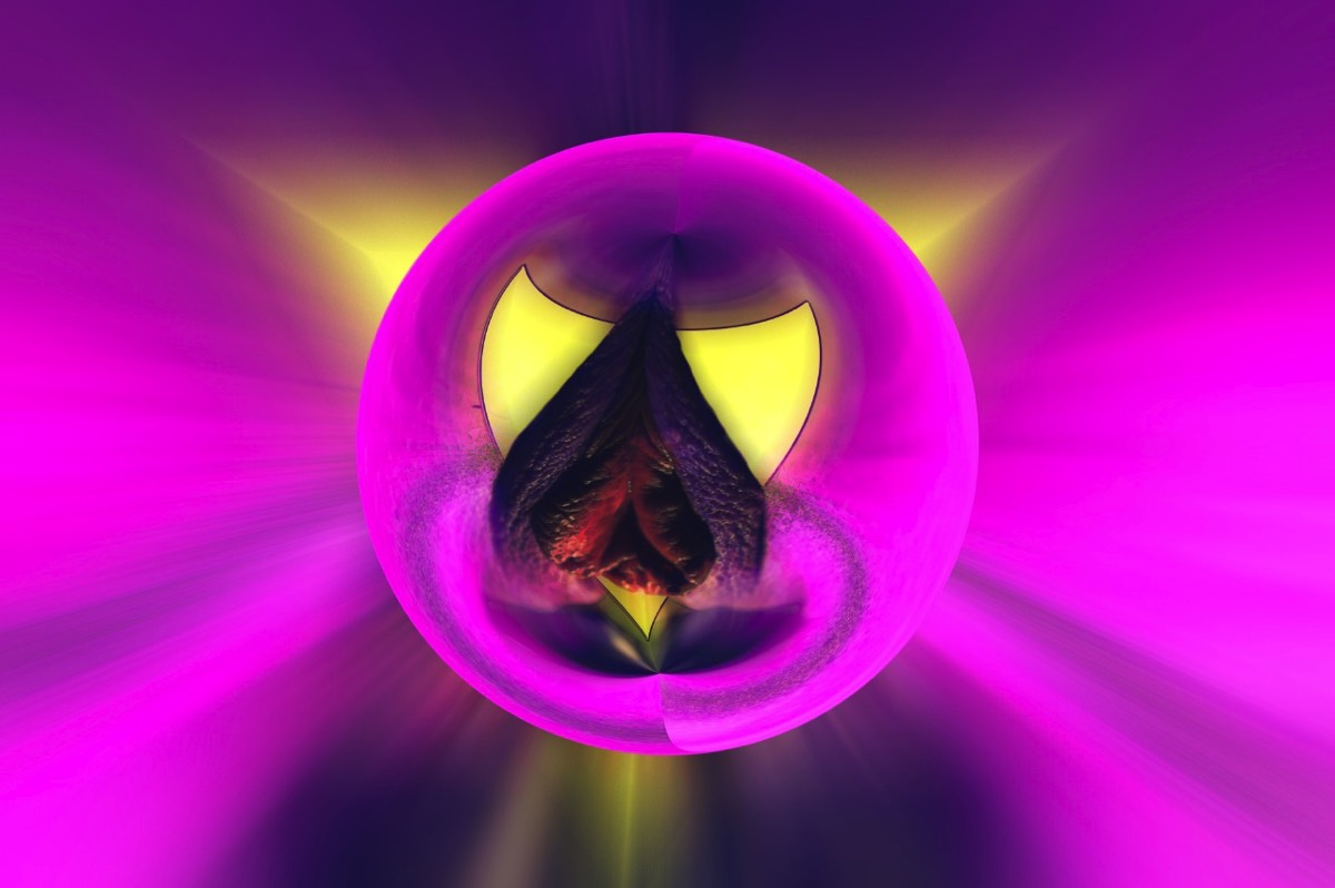 Stacks Image 219