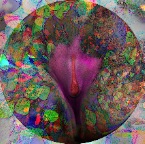 Unda10.jpg