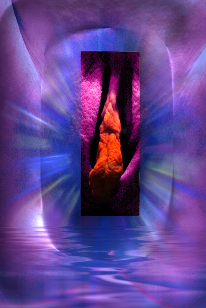 Loading Image