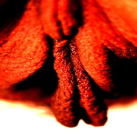 Stacks Image 1327